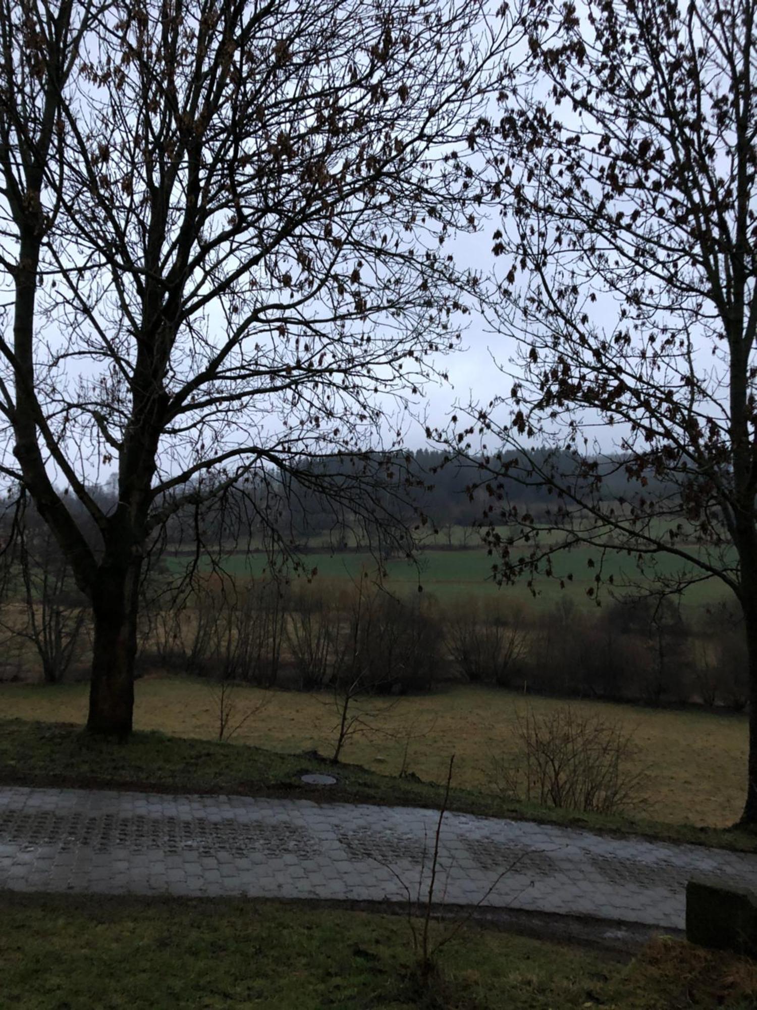 Ferienhaus Lebenswerkstatthof Mildenau Exteriér fotografie